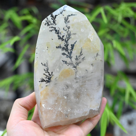 6.37'' Dendritic Quartz FreeForm Crystal Healing Hand Carved